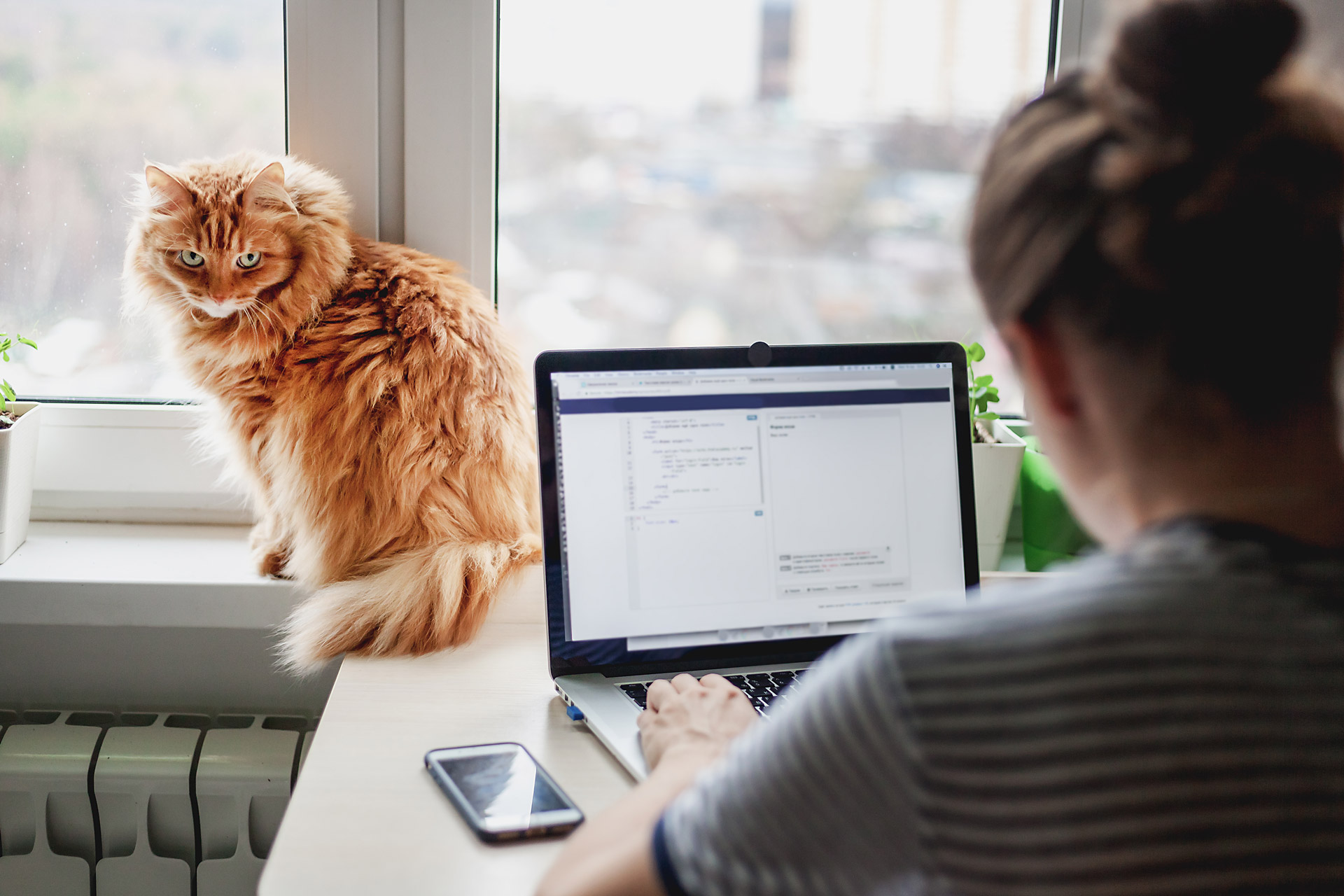 work-from-home