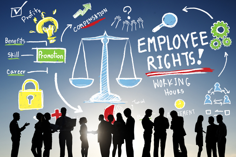 what are your rights without any contract of employment?