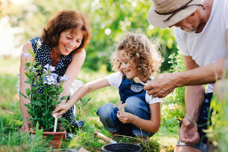 grandparents-rights