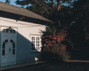 Right to light UK: can you stop your neighbour’s extension?